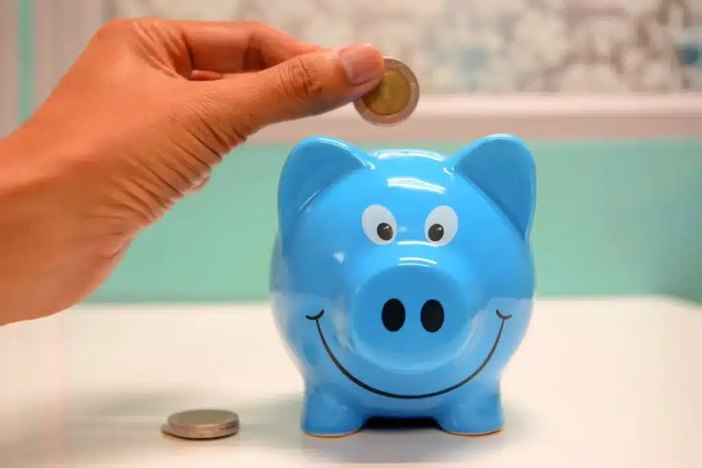 Hand placing coin into blue piggy bank to represent storage savings